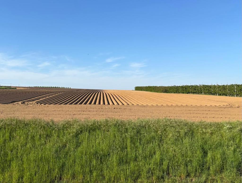 Gastenverblijf Chambre Damis - Geniet Van Haspengouw, Buiten En Binnen! Heers Exteriér fotografie